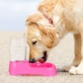 thumbnail image 4 of RUNROTOO Stable Design Pink Plastic Dog Water Dispenser 1Pack Suitable for Puppies and Dogs 500ml Capacity, 4 of 6