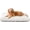 Cream, variant on XL Dog Bed, Flat Pet Beds with Removable Washable Cover, Pet Mat Cute Dog Crate Bed Thick Shredded Chopped Crate Foam & Anti Slip Bottom for Indoor