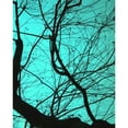 thumbnail image 3 of Peck, Gail 20x24 Black Modern Framed Museum Art Print Titled - Branches on Teal II, 3 of 5