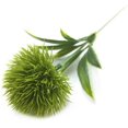 thumbnail image 2 of Paquete de 10 flores artificiales de diente de león, ramo de plantas, flores de plástico para decoración del hogar/decoración de la boda Ormromra CZJJ-HQ40-1, 2 of 4