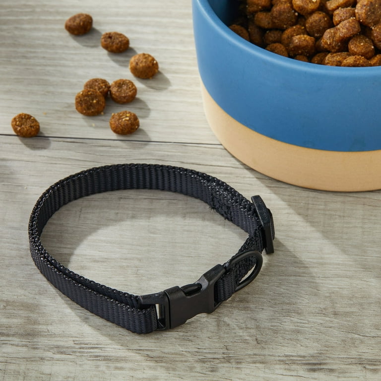 Vibrant Life Polyester Adjustable Dog Collar Black Small, 8 to 14