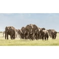 thumbnail image 2 of Jaynes Gallery 24x15 Black Ornate Wood Framed with Double Matting Museum Art Print Titled - Africa-African elephant-Amboseli National Park Panoramic of front of elephant herd walking, 2 of 4
