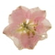 thumbnail image 3 of DIY Colgante Pendiente de Resina de con Agujero Joyería de Fabricación perfecl Colgante de la flor, 3 of 8