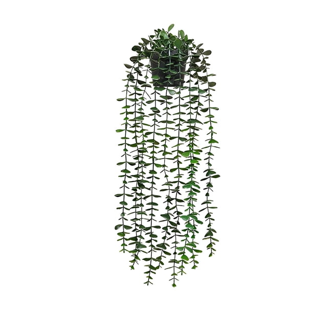 Naiovety Planta artificial Eucalipto Plantas colgantes decorativas Vid En maceta Hojas verdes Jardín Oficina Guirnalda Uva Estante Decoración Verde
