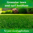 thumbnail image 5 of Down To Earth Organic Bio-Turf Fertilizer Mix 8-3-5, 25 lb., 5 of 8