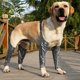 thumbnail image 4 of Greeniant Funda protectora para piernas de mascotas con manga de cuatro patas para perros Envoltura protectora para piernas de cachorros para en Ropa para mascotas No.1 Greeniant PT001479-01, 4 of 6