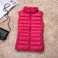 thumbnail image 1 of Chaqueta de plumón ligera de otoño e invierno, chaleco de cuello alto para mujer coreana, chaleco de plumón de gran tamaño, forro versátil, 1 of 5