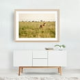 thumbnail image 6 of Deer at Rocky Mountain Arsenal 01 - Commerce City Colorado Photography Deer Wildlife Nature Landscape Rural Scenic Cityscape Unframed Wall Art Print 40 x 60 inches, 6 of 7