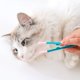 thumbnail image 1 of Cat Eye Brush Soft Head Buckle Design Handheld Head Eye Comb Brush for pets, 1 of 5