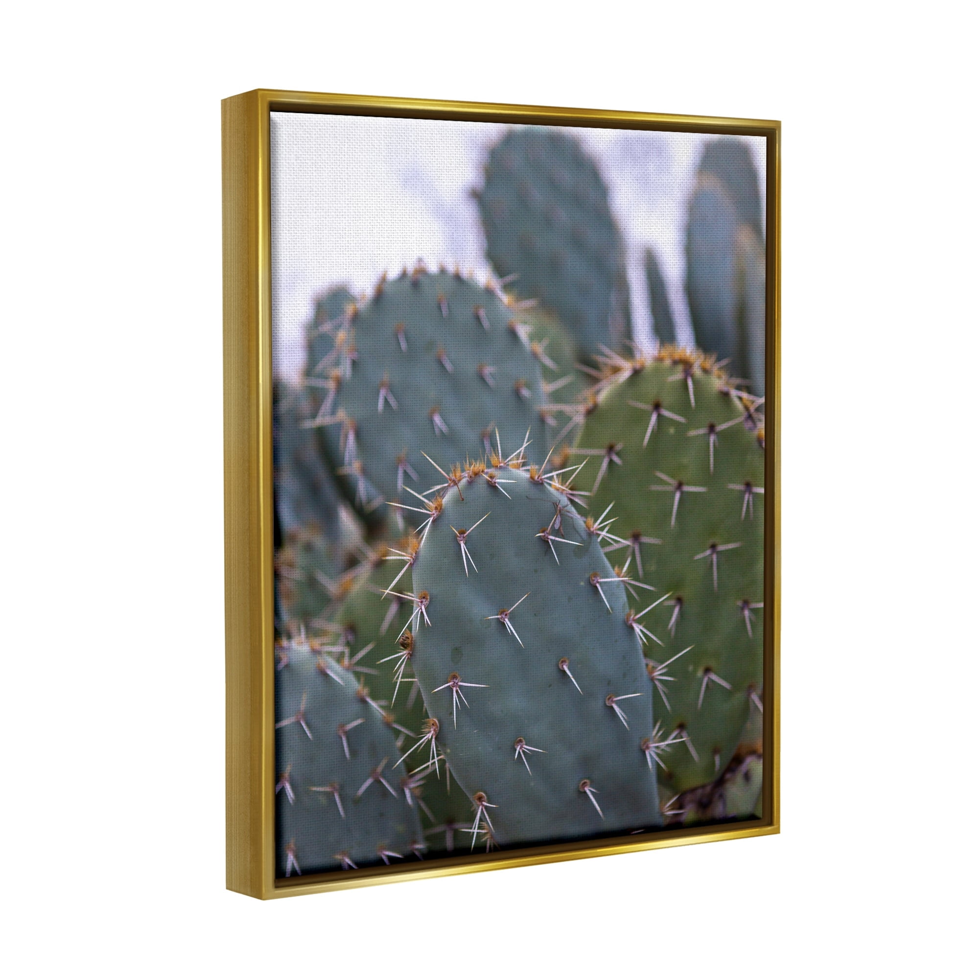Stupell Industries Prickly Cactus Thorns Close Up Photography Desert Vegetation Photograph Metallic Gold Floating Framed Canvas Print Wall Art, Design by Jeff Poe Photography
