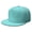 Vintage Polk, variant on Unisex Flat Brim Snapback Hat with Cactus & Succulent Art - Adjustable Streetwear Cap for Men and Women - Southwestern Desert Style