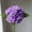C, variant on Luxcidy Dried Touch Hydrangeas Artificial Flowers, 20.86" Tall Large Silk Hydrangea Stems Fake Hydrangea Arrangements for Home Office Table Centerpieces (D)