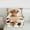 White Brown 02, variant on Homewish 3D Kawaii Cow Queen Comforter Set, Rustic Highland Bull Bedding Sets, Orange Groovy Daisy Floral Reversible Bedding Comforter Set, Breathable Home Decor, 3pcs