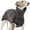 A, variant on Qiweii Waterproof Warm Dog Winter Coat 2 Legged Cold Weather Ski Jacket Dark Gray
