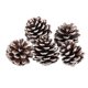 thumbnail image 1 of 9PCS Navidad Conos de Pino Adornos Árbol de Navidad Adorno Colgante Decoración de Bricolaje BLESIY Adornos de piñas, 1 of 5