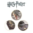 thumbnail image 4 of Figura The Noble Collection Harry Potter Magical Creatures, 4 of 5