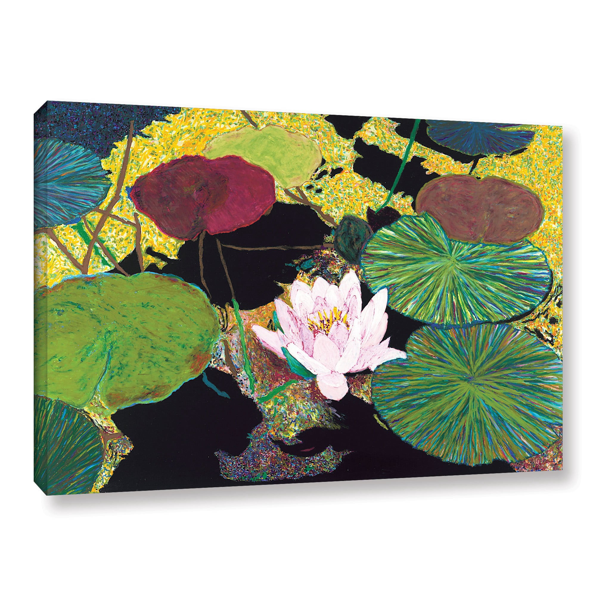 ArtWall Allan Friedlander "Steamy Pond" Gallery-wrapped Canvas