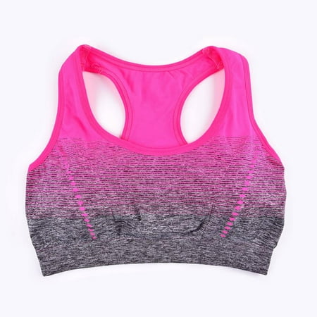 

Alpha C Apparel Sports Bra High Stretch Breathable Top Fitness Women Padded for Running Yoga Gym Seamless Crop Bra Gradient Sport Bra