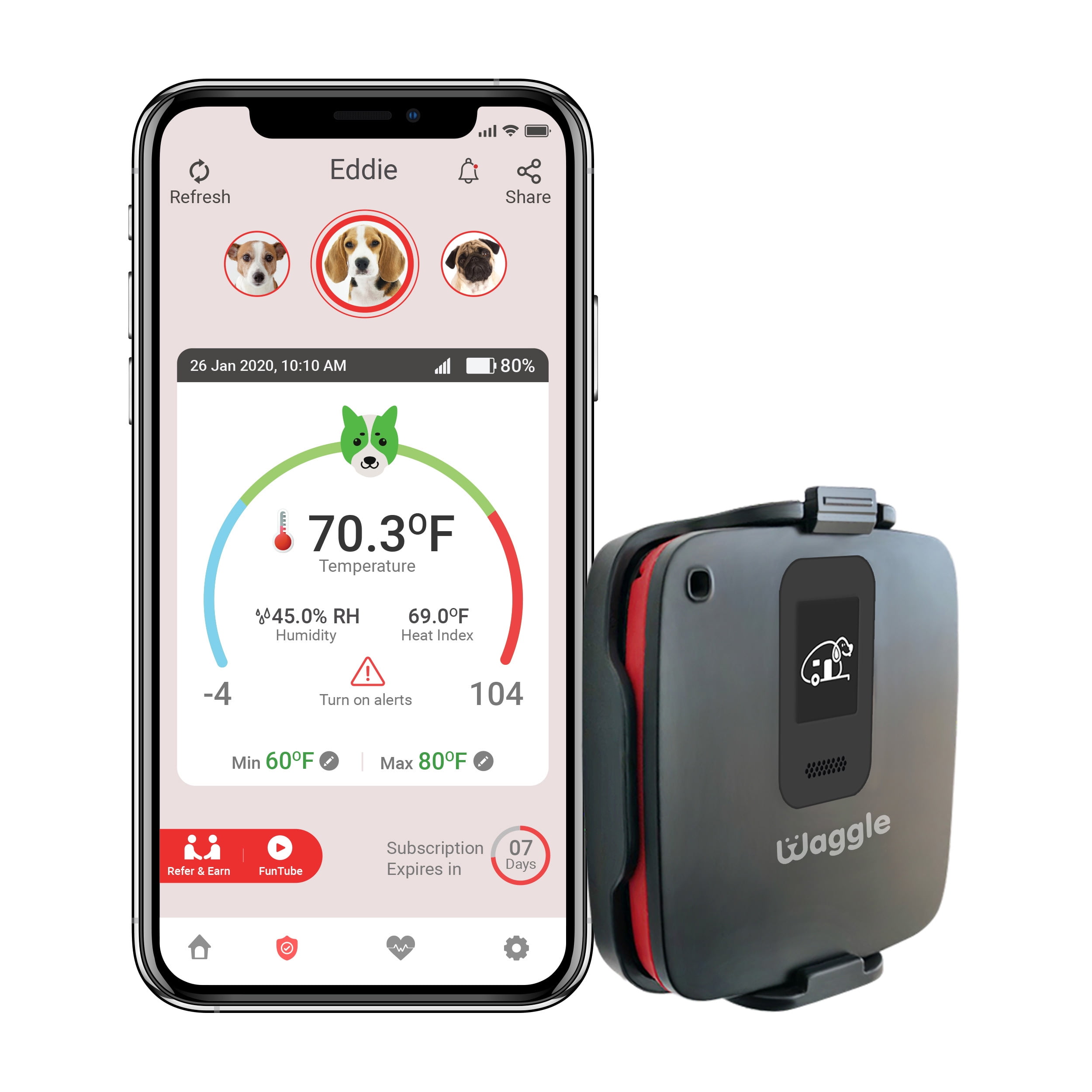 waggle temp monitor waggle temp monitor