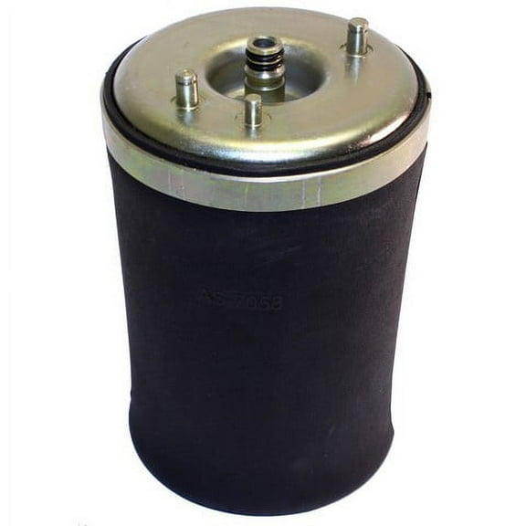 Air Suspension Spring Fits select: 2000-2006 BMW X5