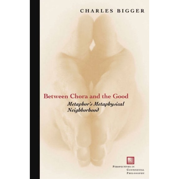 Perspectives in Continental Philosophy Between Chora and the Good: Metaphor's Metaphysical Neighborhood, (Hardcover)