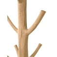 thumbnail image 4 of Mangosteen Tree Coat Rack on Black Iron Base, 4 of 4