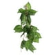 thumbnail image 3 of Tanque de reptiles, planta falsa, decoración de plantas artificiales, adorno de planta vívida, decoración de tanque de reptiles, 3 of 6