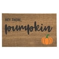 thumbnail image 2 of TAKTUK Clearance!Fall Decor,Home Essentials,rug,Pumpkin Decor Funny Door Mat Fall Welcome Mat Fall Decor Rug 60*40 CM,Home Decor,Room Decor,Clearance Sale, 2 of 2