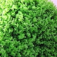 thumbnail image 3 of XmhyTop-A Artificial Plant Topiary Ball Artificial Greenery Ball Decorative Faux Boxwood Decorative Foliage Artificial Decorative Holiday Plants Spring Summer Faux Plant Decor, 30cm, 3 of 4