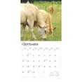 thumbnail image 4 of Cows | 2025 12x24" (Hanging) Wall Calendar | Plastic-Free | BrownTrout, 4 of 9