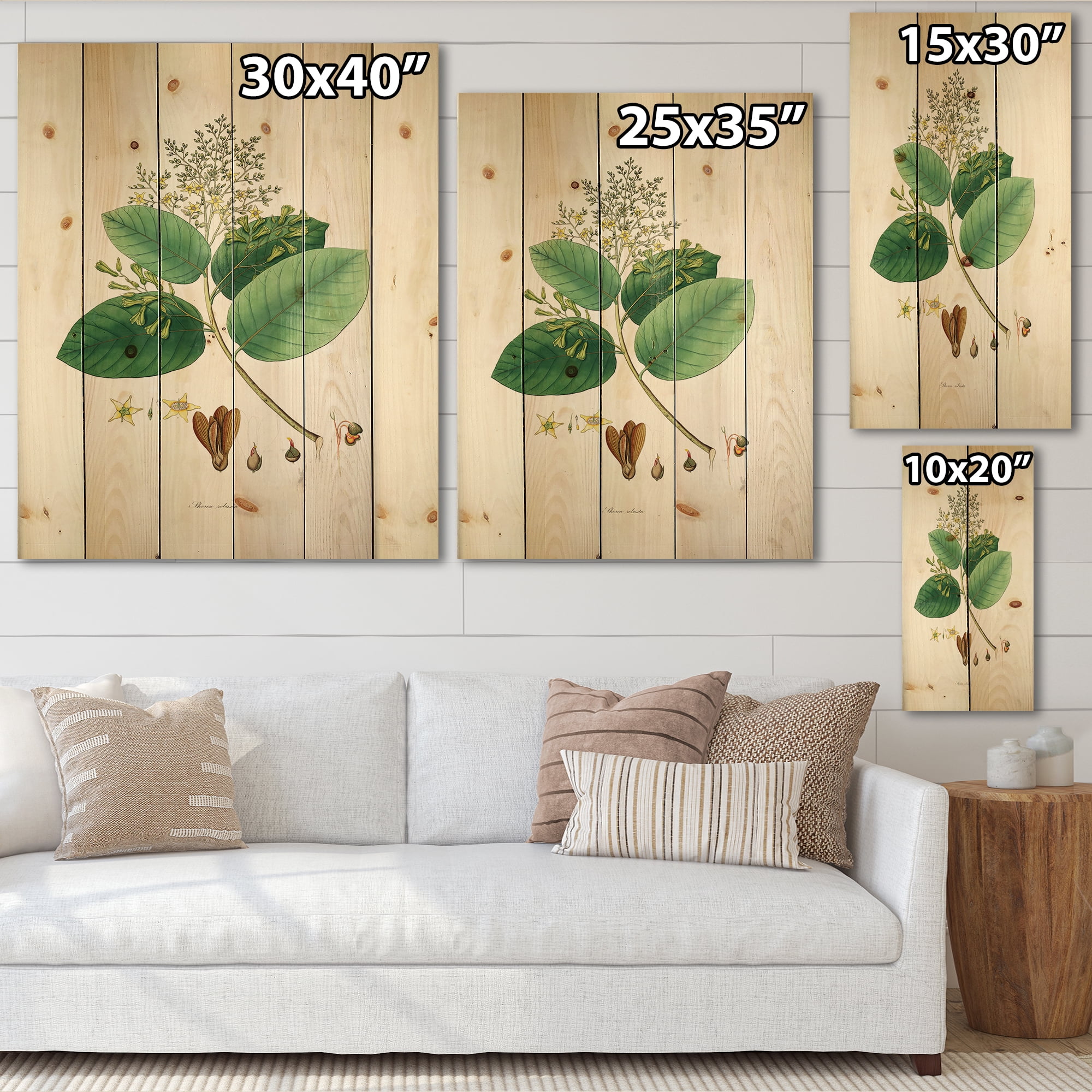 Designart 'Ancient Botanicals III' Farmhouse Print on Natural Pine Wood