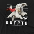 thumbnail image 2 of Superman 2025 Krypto Lines Unisex Adult Crewneck Sweatshirt, 2 of 6
