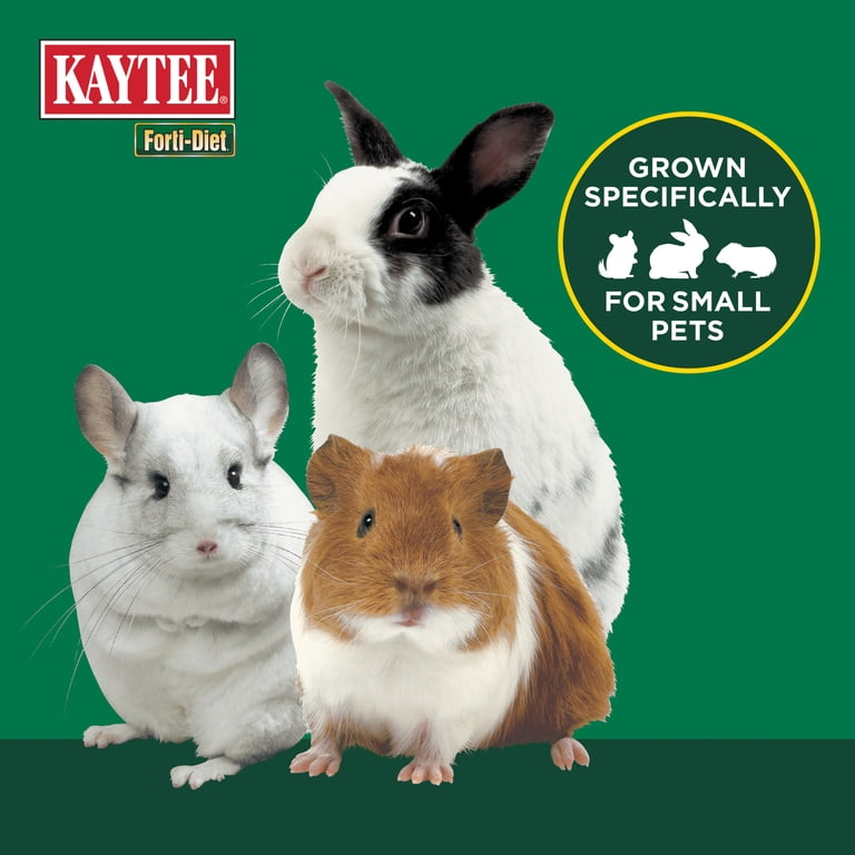Kaytee Forti-Diet Timothy Hay, All Natural, 48oz photo 3