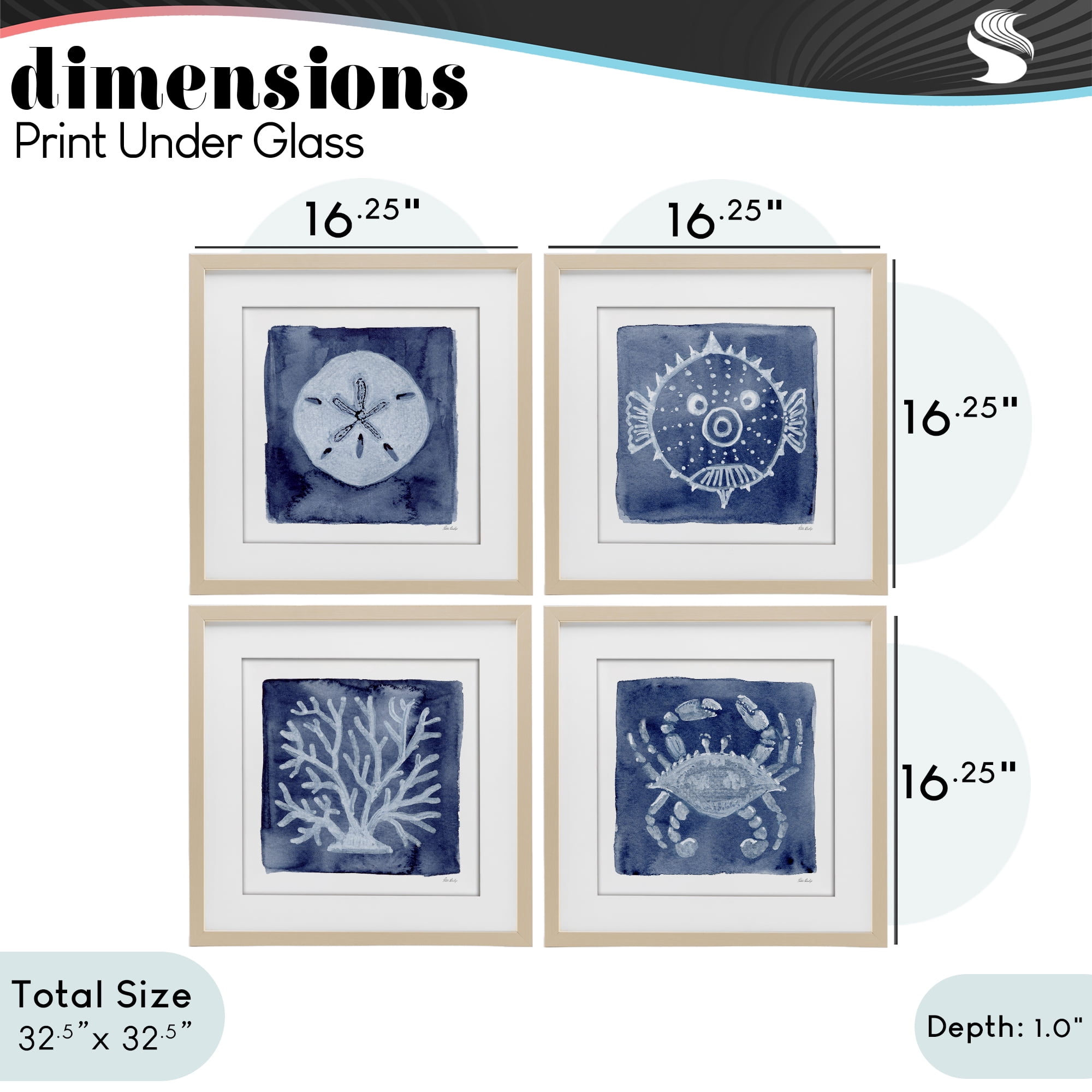 Stupell Industries Aquatic Creatures on Indigo 4 Piece Birch Framed Print Under Glass Set, design by Patti Bishop