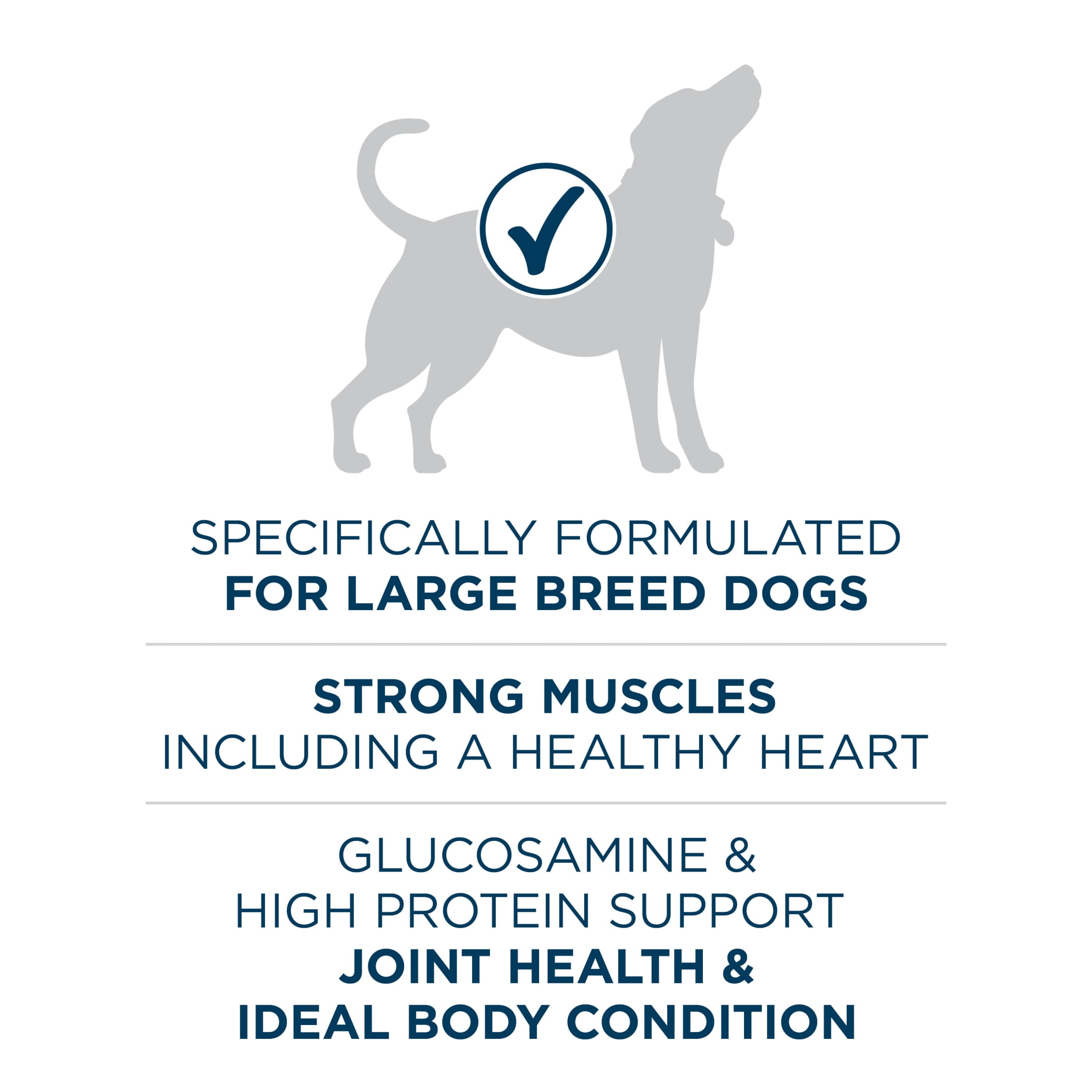 Purina ONE Plus Dry Large Breed Dog Food for Adult Dogs, Real Protein Rich Natural Chicken Flavor, 40lb Bag