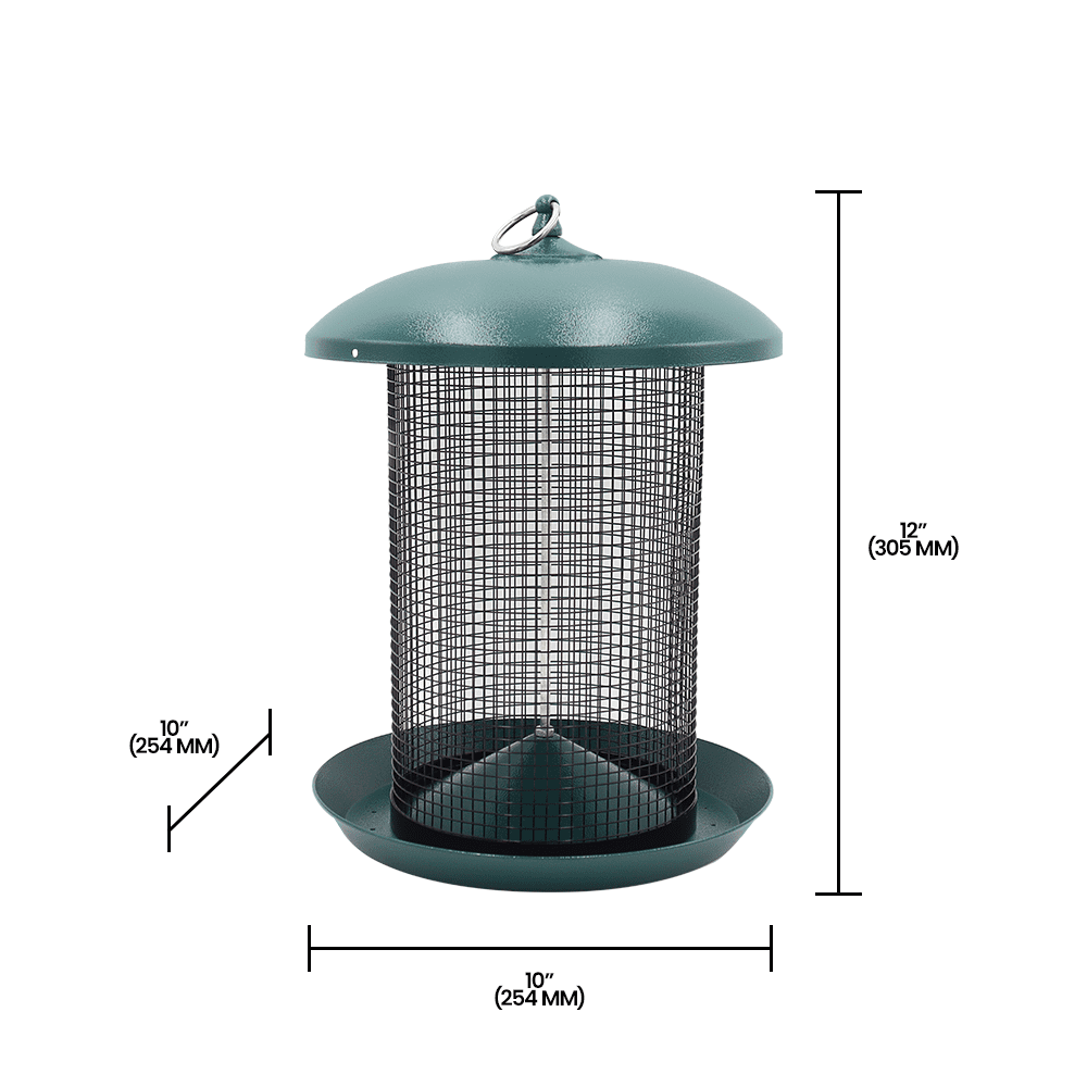 Zenport Z203010 Hanging Bird Seed Screen Feeder, Green