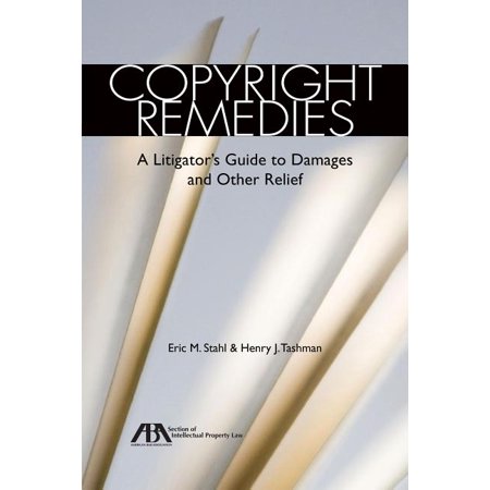 Copyright Remedies : A Litigator's Guide to Damages and Other Relief (Paperback)