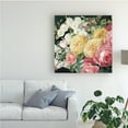 thumbnail image 3 of Trademark Fine Art 'Antique Roses on Black Crop' Canvas Art by Danhui Nai, 3 of 3