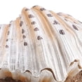 thumbnail image 2 of YAHHU Artificial Coral Reef Aquarium Decoration Resin Fish Tank Ornament 3.7x4.9x3.1 in / 9.3x12.5x8 cm, 2 of 3