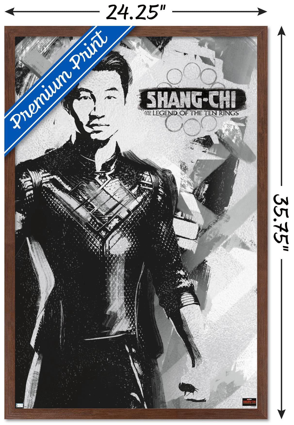 Marvel Shang-Chi and the Legend of the Ten Rings - Shang-Chi Wall Poster, 22.375" x 34", Framed