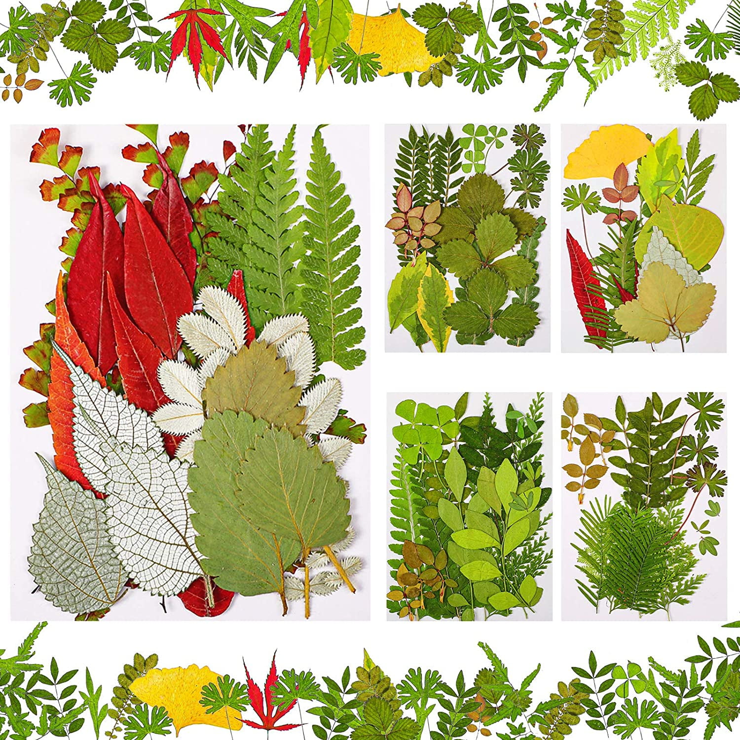 35/37/40/42 PCS / 1 Set Dried Pressed Leaves Dried Flowers For Resin Real  Assorted Dried Greenery For Pressed Leaf Art Craft DIY Handmade Bookmarks  Embellishment Decorations