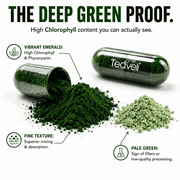 Organic Spirulina and Chlorella Capsules Organic Chlorophyll & Blue Green Algae to Support Powerful Detox, Energy & A Healthy Immune System, 3X More Chlorella Spirulina Powder / Serving 90 Capsules