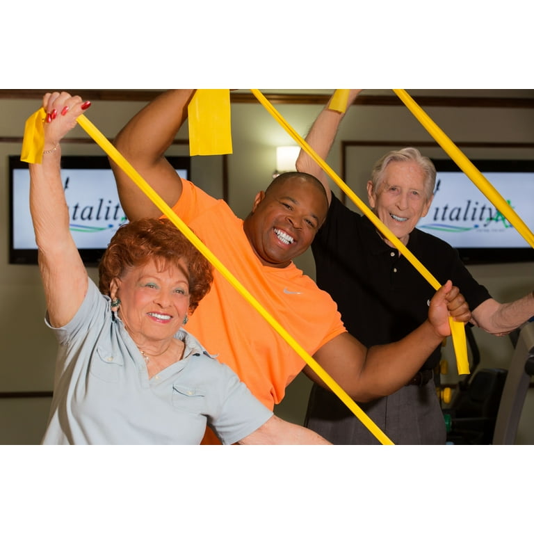 Vitality 4 Life Senior Exercise DVD, Full-Body Fitness with