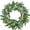 Eucalyptus Berries, variant on 22 Inch Soft Touch Boxwood Wreath for Front Door - All Seasons Greenery Wreath with Lambs Ear & White Berries, Spring Door Wreath, Winter Wreaths for Front Door Outside, Year Round Door Decor