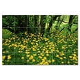 thumbnail image 1 of Flower Picture Ceramic Tile Mural Kitchen Backsplash Bathroom Shower, 405019-XL6, 1 of 3