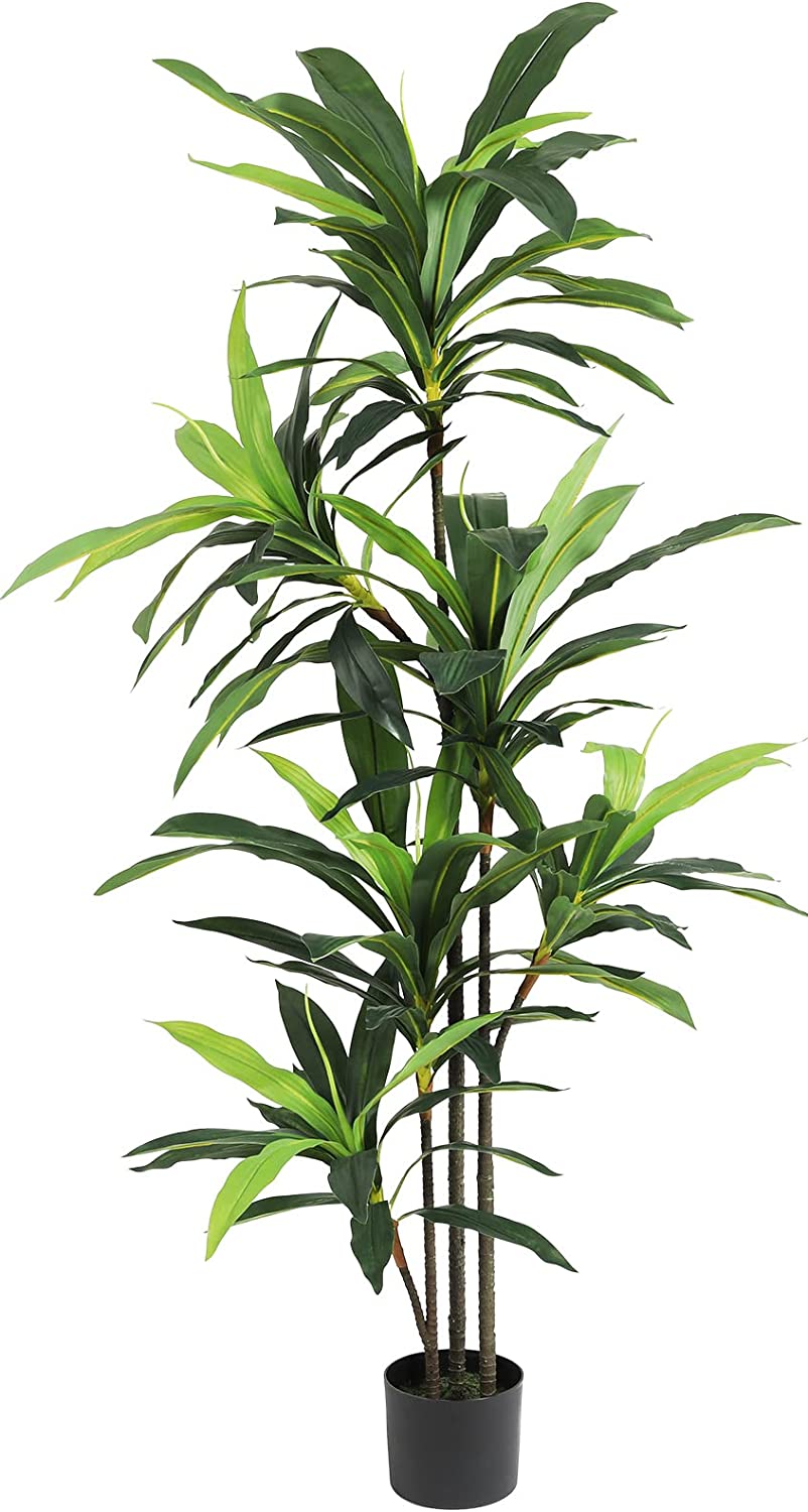 VIAGDO Artificial Dracaena Silk Plant 5ft Faux Evergreen Dracaena