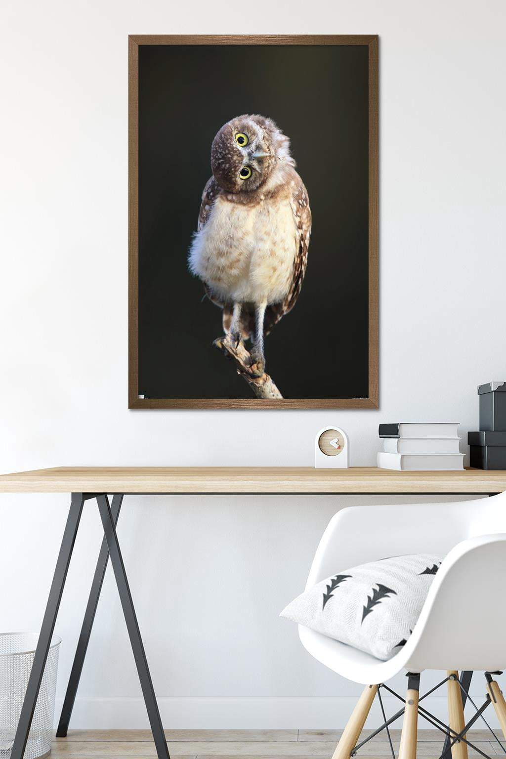 Curious Burrowing Owlet Wall Poster, 22.375" x 34" Framed