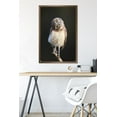 thumbnail image 6 of Curious Burrowing Owlet Wall Poster, 22.375" x 34" Framed, 6 of 6