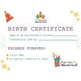 Pat Bear 16-Inch DIY Plush Kit with Birth Certificate - Easy No-Sew ...