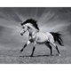 thumbnail image 2 of Cuadros Decorativos Pintura por númeroslienzo pintado a mano de caballo DIYimágenes artísticas de pared para el hogar Ndcxsfigh Nuevos Originales, 2 of 9